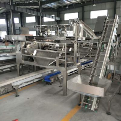 China Papaya Juice Fruit Processing Machine Industrial Beverage Processing à venda