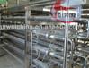 China Automatic Watermelon Juice Processing Plant Stainless Steel Material zu verkaufen