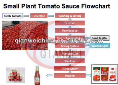 China Industrial Small Scale Tomato Sauce Production Line 200kg-500kg Per Hour Turn-Key Solution Te koop