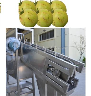 China 7.5kw Coconut Process Machine Cutting Half Cutter Water Extracting Te koop