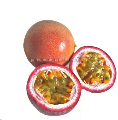 China Passion fruit concentrate juice processing plant passion fruit pulp production line Te koop