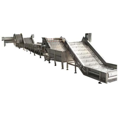 Cina Canned Pineapple Fruit Sorting Conveyor Stainless Steel Material in vendita