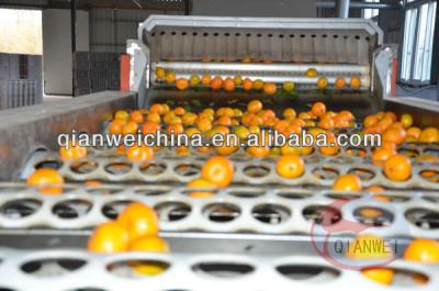 中国 Citrus Fruit Sorting Conveyor 3kw Power Stainless Steel With One Year Warranty 販売のため