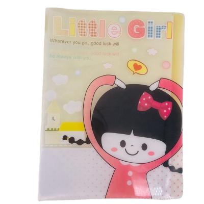 China 2022 New PP Plastic Folder Customized PP Folder for sale