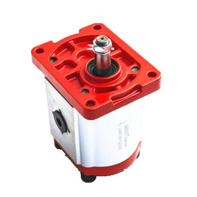 China Ryan Hydraulics Group 2 Machine Gear Pump 8cc 4 Bolt Agricultural Hydraulic Aluminum Square Flange Hydraulic Gear Pump for sale