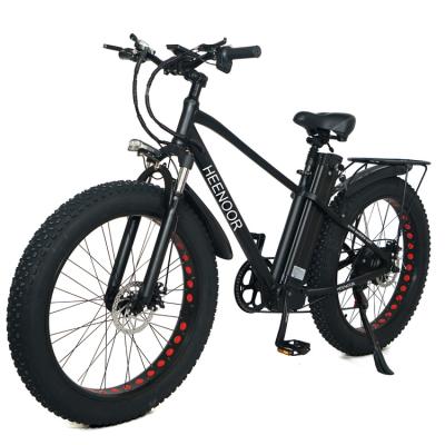 China Aluminum Alloy Hot sell cheapest mountain electric bike 45km/h 80-130KM range 48v 750w power e bike electric bicycle for sale