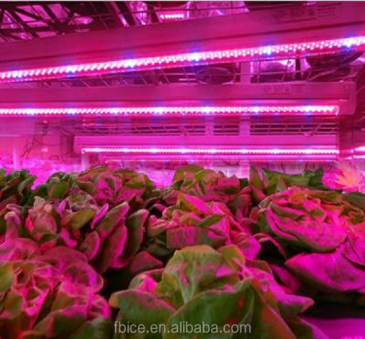 China RED Aluminum Case Greenhouse Growing Lights 100cm DC Greenhouse Flower Fruit Vegetable Greenhouse Long Led Growing Light Aluminum for sale