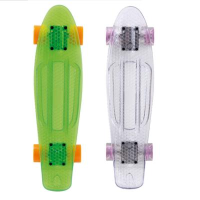 China 22 Inch Pantone Plastic Panel Mini Cruiser 4 Wheel Fish Outdoor Activities Colorful Skate Outdoor Activities for sale