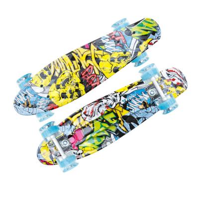 China Professional Outdoor Activities 22 Inch Mini Cruiser Skateboard For Beginners for sale