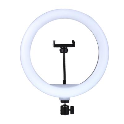 China Hot-selling YouTube 10 Inch 10 Inch Ring Light Internet Celebrity Live Broadcast Beauty Smudge Light Mobile Phone Visual Sufficiency Light for sale