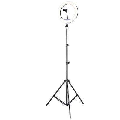 China Hot-selling 10 inch ring light selfie makeup video camera soft light three-color lighting suit with tripod 10 inch for sale