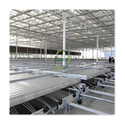 China Easy For Operation Movable Bench Plastic Tray Hydroponic System Logistics Seedbed Rolling Bench Ebb And Flow Crib For USA Canada for sale