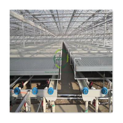 China Easy For Operation Low Cost Aluminum Frame Ebb And Flow Rolling Bench Tray Logistics Seedbed For Greenhouse Tide Table for sale