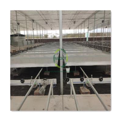 China Easy For Operation China Nursery Supplies Use Efficient Movable Greenhouse Logistics Table Hydroponic Seedling Tray Flood And Drain Rolling Bench for sale