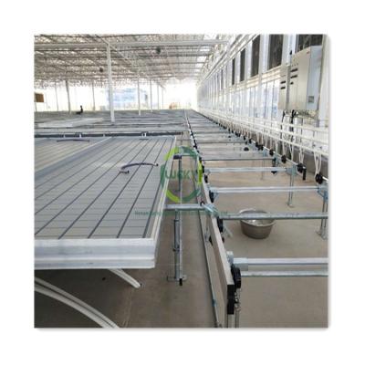 China Easy for Operation Greenhouse Easily Assembled Agricultural Hydroponic System Logistics Seedbed Ebb and Flow Table Rolling Bench for sale