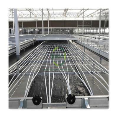 China Easy For Operation Customized Aluminum Alloy Grow Table Tray Ebb And Flow Logistics Greenhouse Hydroponic Planting Rolling Benches for sale