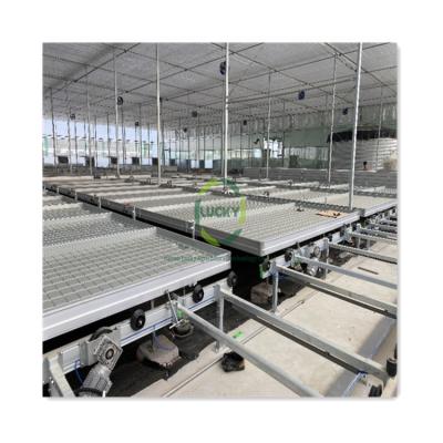 China Easy For Operation Agricultural Mobile Vertical Aluminum Hydroponic Bench Rolling Ebb And Flow Seedling Logistics Flood Table Greenhouse Mobile Vertical for sale