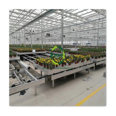 China Easy for Tray Greenhouse Planting Movable Rolling Table Fully Automatic Customizable Operation Logistic Irrigation Seeding for sale