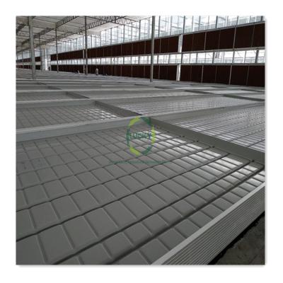 China Full Automatic Growing Greenhouse Hydroponics System Rolling Bench System Wheels Greenhouse Ebb and Flood Growing Rolling Bench Table System for sale