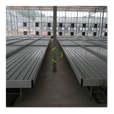 China Greenhouse Hydroponics System Agricultural Greenhouse Removable Seedling Grow Tables 4X16 Flood Ebb and Flow Food Grade ABS Rolling Bench for sale