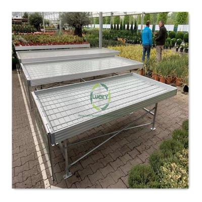 China Greenhouse Hydroponics System Medicinal Plants Nursery Table Shelf Commercial Agricultural Rolling Velo 4*8Ft Hydraulic Growing Bench With Pole for sale