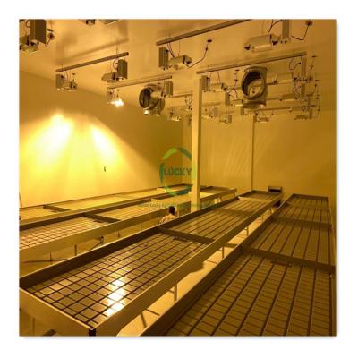 China High Quality Greenhouse Hydroponics System Bench Agriculture Vertical Greenhouse Rolling Growing Ebb and Flow Drain Bench Rolling Table and Tray for sale