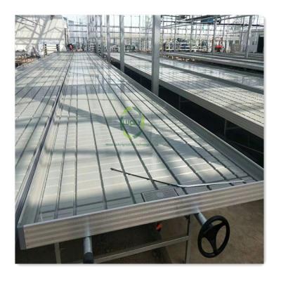 China Greenhouse Hydroponics Greenhouse Hydroponics Low Cost Flood And Bench Drain Rolling System Low Cost Grow Equipment Ebb And Flow Greenhouse Grow Table for sale