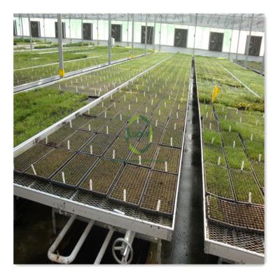 China Custom Greenhouse Hydroponics System Agriculture Planting Ebb And Flow Greenhouse System Full Automatic Wheel Logistic Rolling Bench for sale