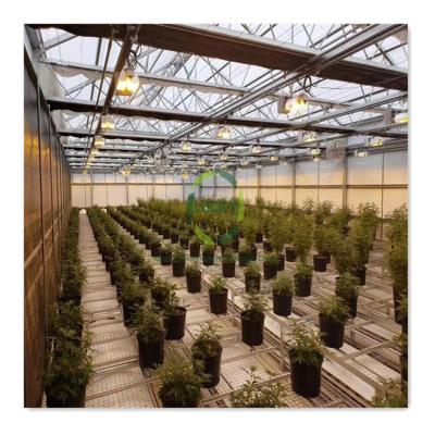 China Medical Planting for USA Commercial Hemp System Green House Steel Frame Blackout Blackout Greenhouse Popular Hydroponic Greenhouse Manufacturers for sale