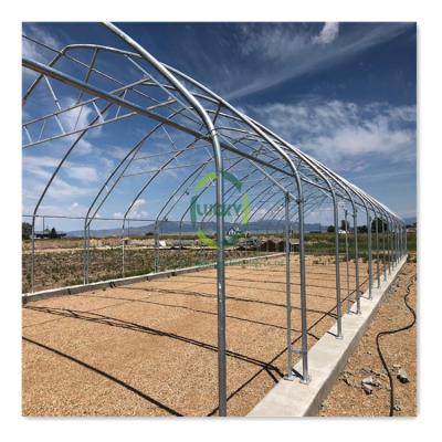 China Medical Planting For USA Winter Agricultural Commercial Automated Dark Hemp Growing Tunnel Light Deprivation Blackout Plastic Greenhouse for sale