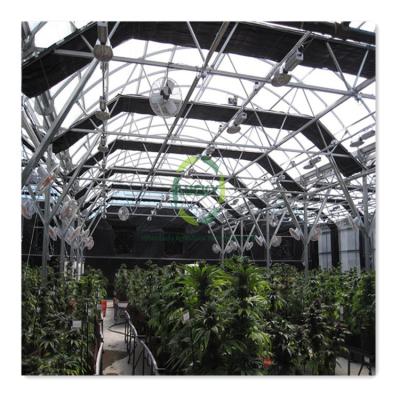 China Medical Plantation For USA Green House Cheap Plastic Agricultural Hemp Growing Deprivation Blackout Popular Light Greenhouse For Fungus for sale