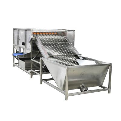 China Automatic Canning Factory Factory Price Egg Sheller for sale