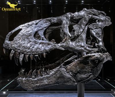 China Fossil Theme Park Real T Rex Skeleton Skull For Sale Dinosaur Theme Park for sale