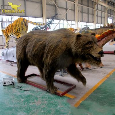 China Realistic Realistic Museum Size Live Life Size Animatronic Animals Amusement Park Live Life Size Animatronic Bears Museum Size Animatronics Supports Model for sale