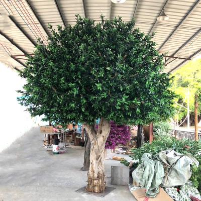 China Outdoor Decoration 3.5m Indoor Traditional Large Evergreen Artificial Olive Tree for sale