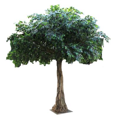 China Decorate Cheap Artificial Yellow Plastic Gold Color Ficus Tree Garden Trees Artificial Ficus Banyan Tree for sale