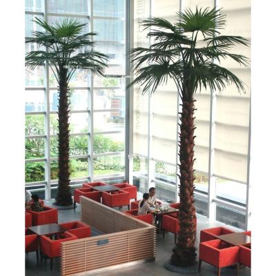 China Eco - Friendly Indoor Outdoor Decorative Plastic Artificial Palm Trees In Dubai for sale