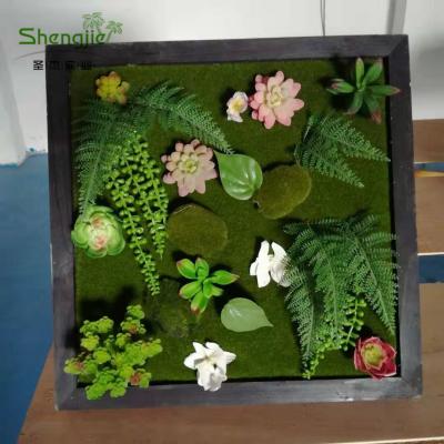 China Ever Green 50X50 Cm Mini Plant Cheap Artificial Succulent Wall For Decoration for sale