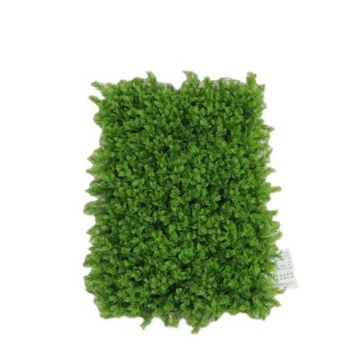 China Greenery Wall Minimalist UV Protected Backdrop For Outdoor Garden Fence for sale