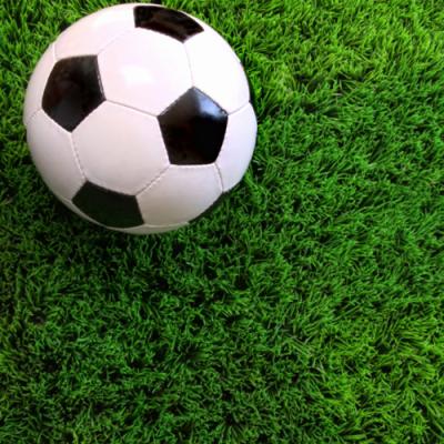 중국 Chinese artificial football turf green grass prices carpet rug artificial lawn artificial grass 판매용