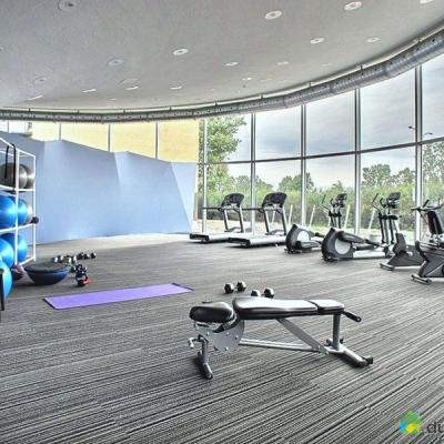 China Commercial Nylon Plain Carpet Tiles 50*50 for Sports Centre Exercise Room Gym Te koop