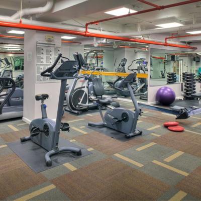 China Fitness Center Hotel Office Floor Carpet Tiles Exhibition Gym Tile Carpet Customization à venda