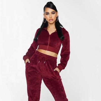 China Burgundy Breathable Custom Velvet Joggers & Skinny Crop Sweatshirt Famous Brands Private Label 2 Piece Set Jogging Suit Women Sweatsuit for sale