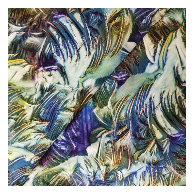 China Shaoxing Supplier Anti-Static Shrink-Resistant Four Way 100% Polyester Printed Fabric Stretch Fabric for sale