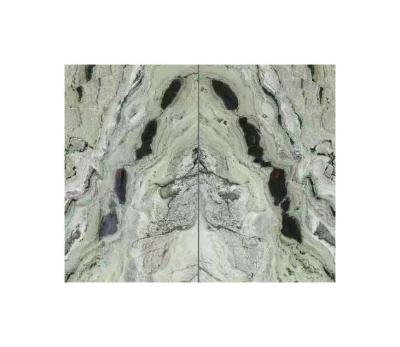 China Nice Modern Green Marble Stone Raggio Verde Marble Pound Match Green Marble Slabs for sale