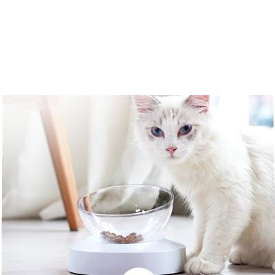 China Sustainable Animal Bowl Water Dispenser Feeding Cat Basin Protect Cervical Vertebrae Adjustable Transparent Cat for sale