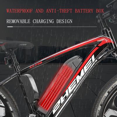 China Aluminum alloy 21 speed electric mountain bike/aluminum frame 250w 48V 10ah electric bicycle, 26