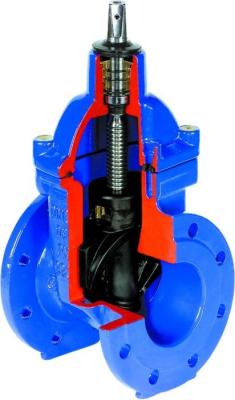 China Coated Wedge Rubber Valve Seat For Resilient Seated Gate Valve 2 '' - 24 '' Size for sale