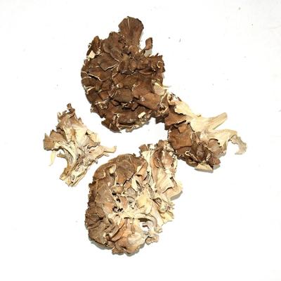 China Wholesale Organic Black Polypore Dried Dried Maitake Mushroom For Ingredients for sale