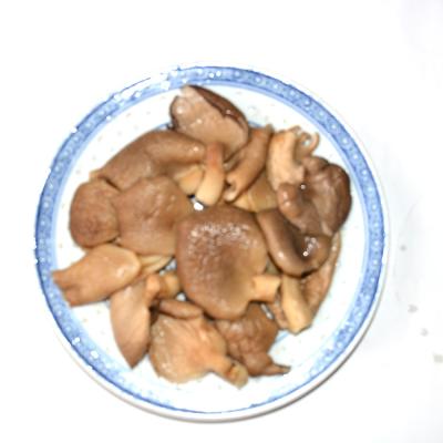 China Best Selling Delicious Fresh Abalone Mushroom Canned Healthy Food Boiled Abalone Mushroom for sale